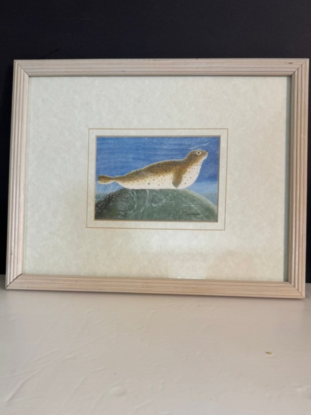 Vtg Martin Wiscombe Framed Spotted Seal Print Wildlife Illustration- Signed D do